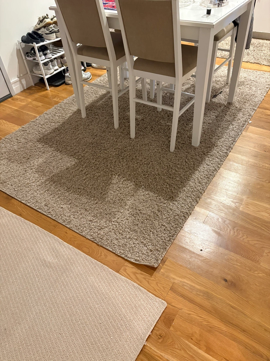 2 Shag Area Rugs