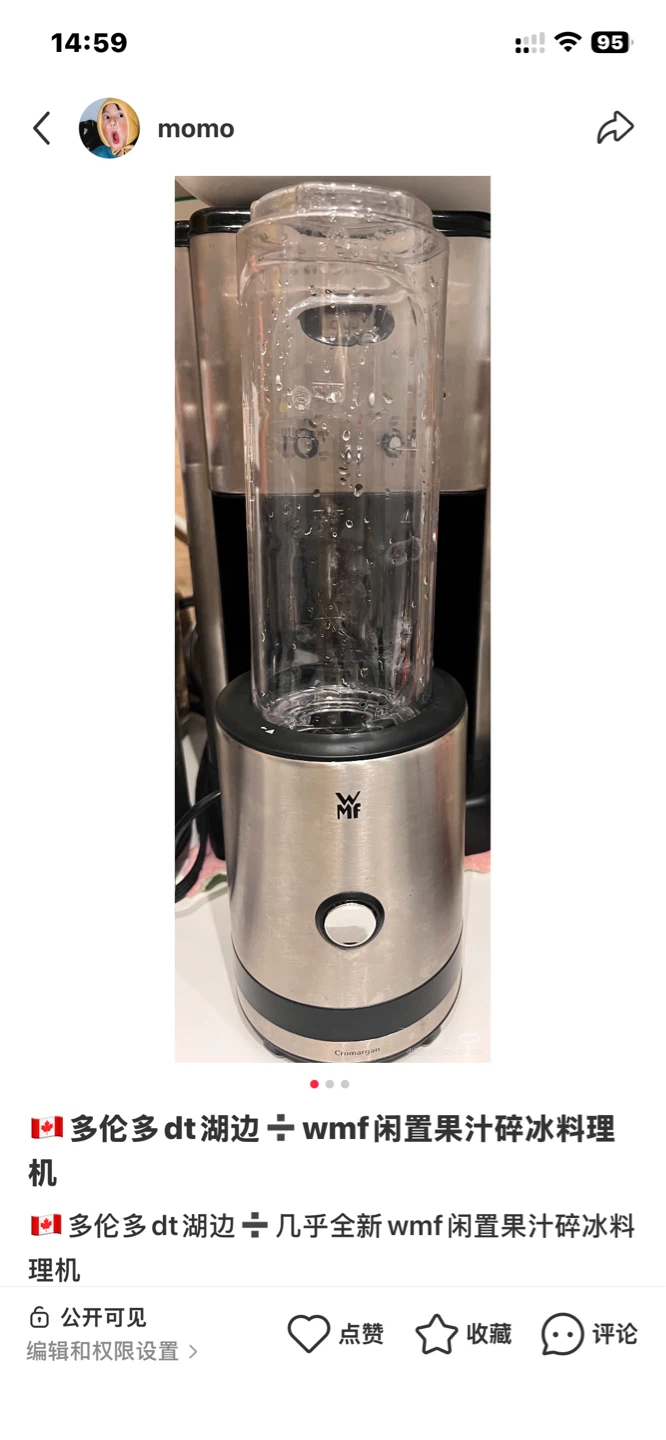 WMF Smoothie and ice crush Blender