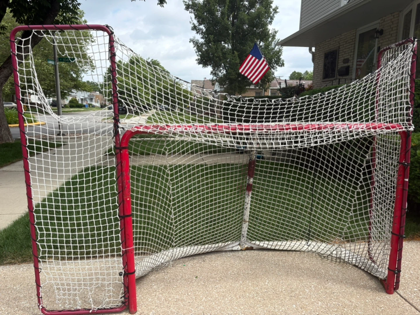 Hockey Net with Red Frame - photo 2