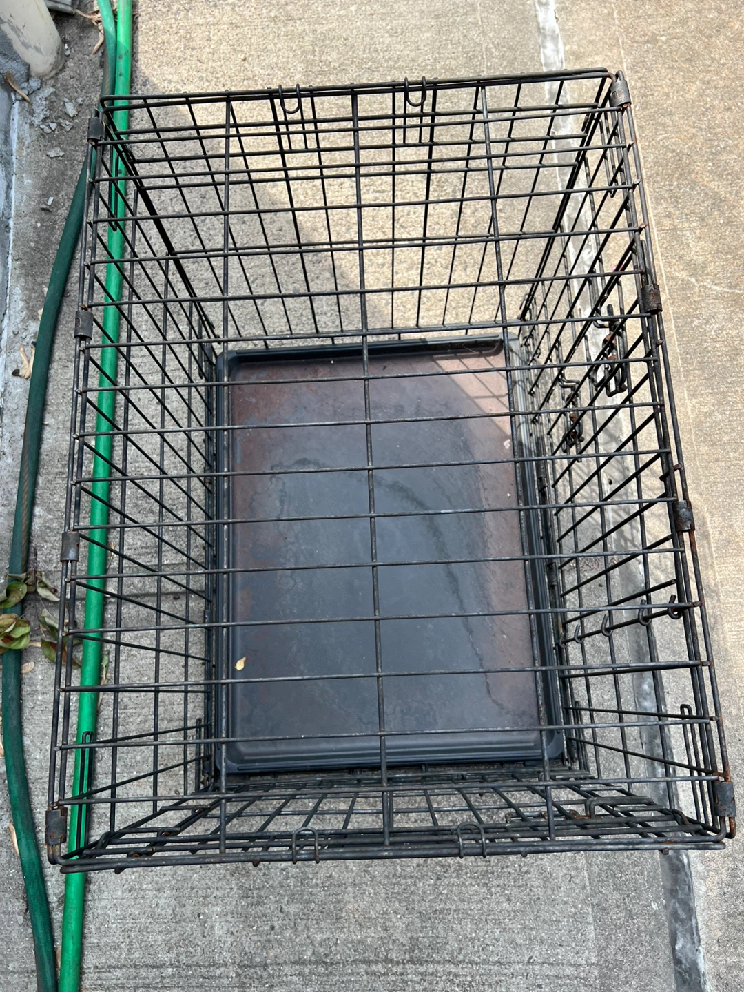 Wire Dog Crate with Tray