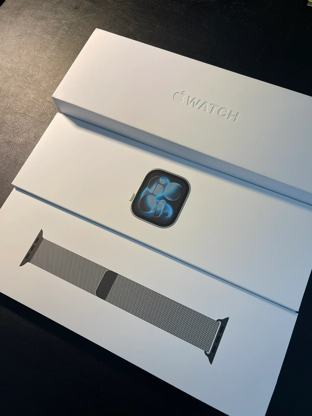 Apple Watch Stainless Steel Case with Milanese Loop