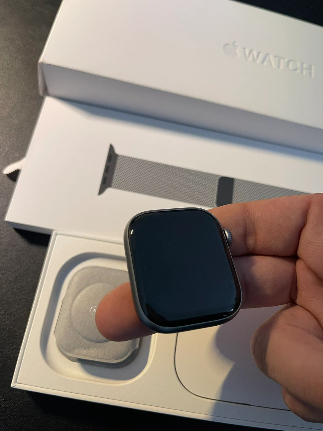 Apple Watch Stainless Steel Case with Milanese Loop - photo 4