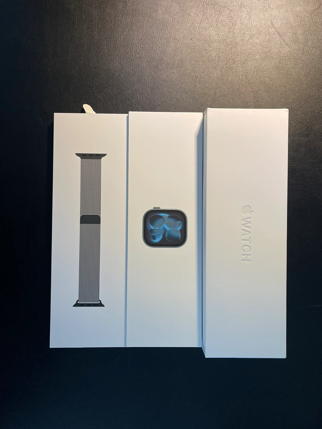 Apple Watch Stainless Steel Case with Milanese Loop - photo 2