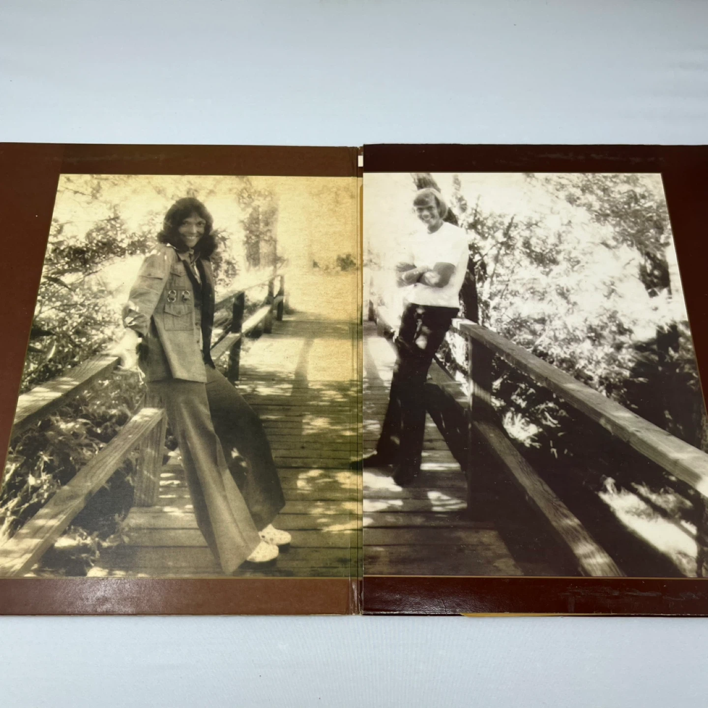 The Carpenters The Singles 1969-1973 Vinyl Record - photo 3