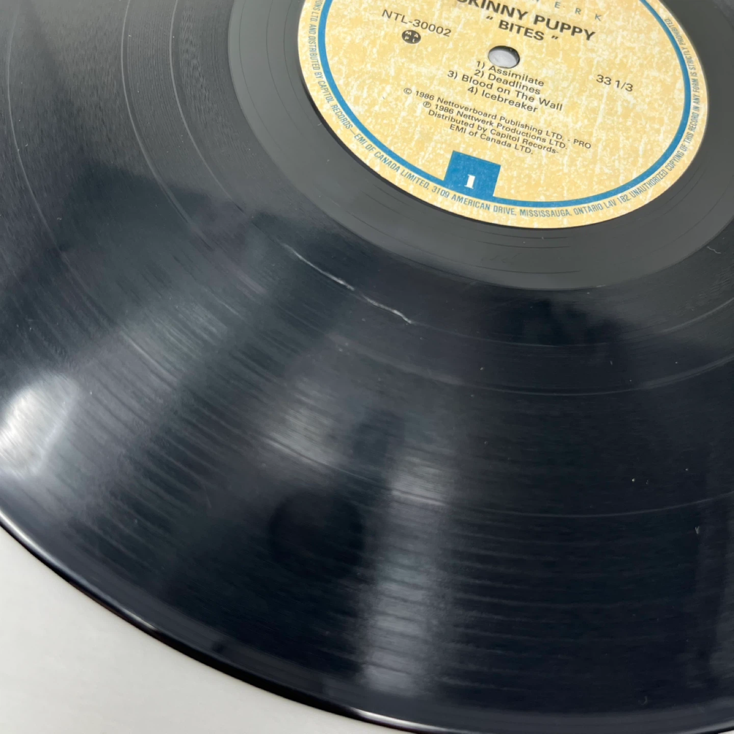 Skinny Puppy Bites Vinyl Record - photo 4