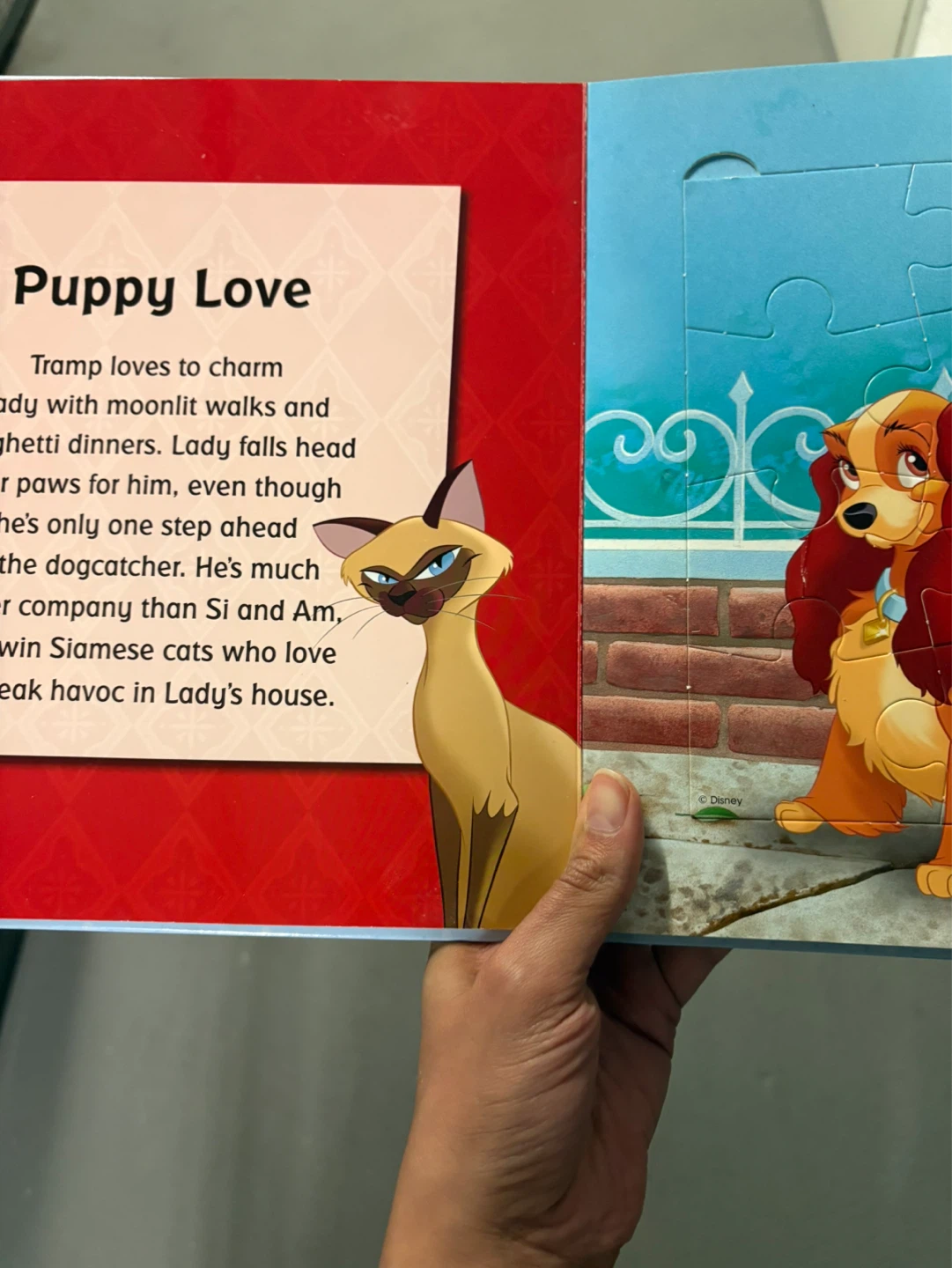 Disney Puzzle Book - photo 2