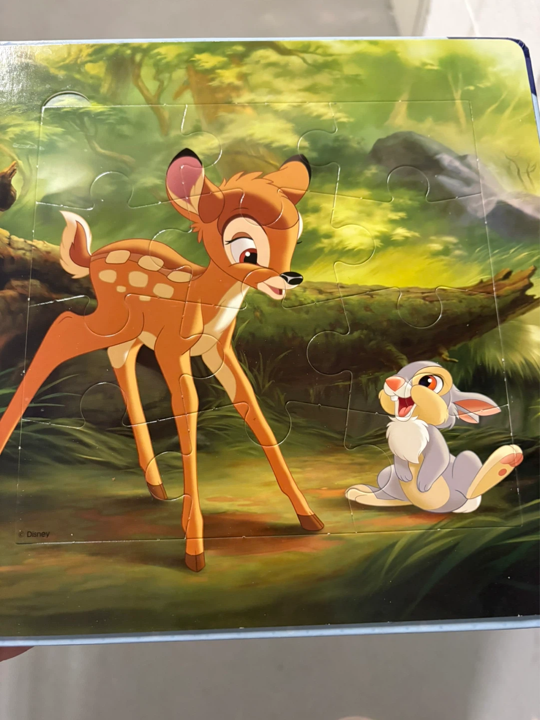 Disney Puzzle Book - photo 4