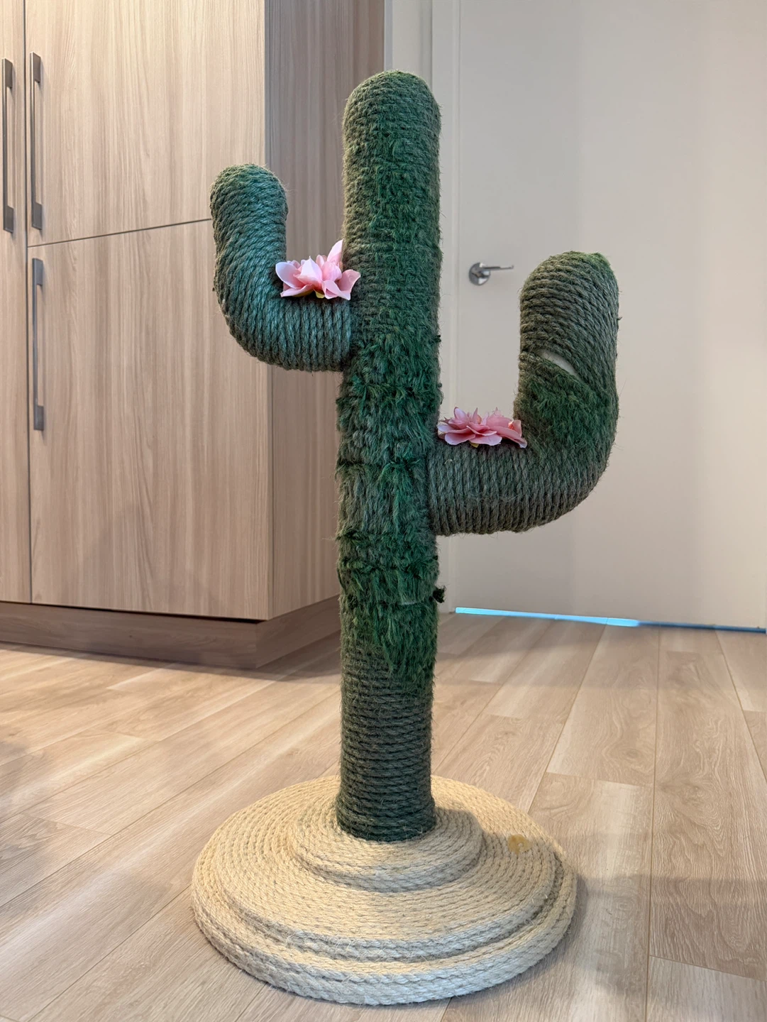 Cactus Cat Scratcher Post - photo 2