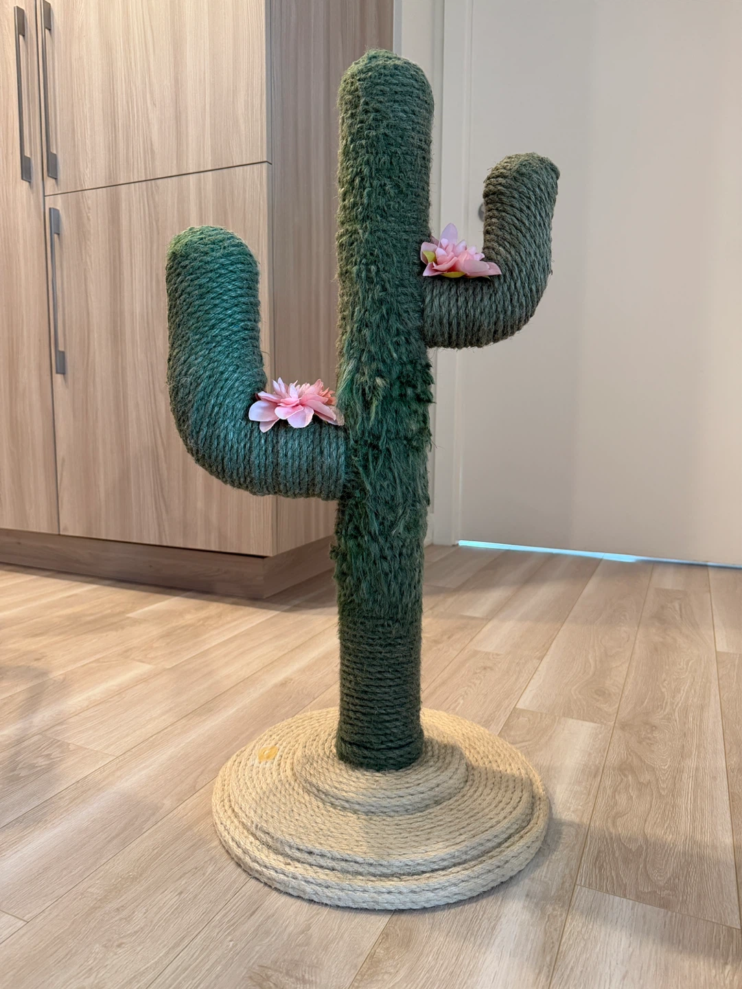 Cactus Cat Scratcher Post