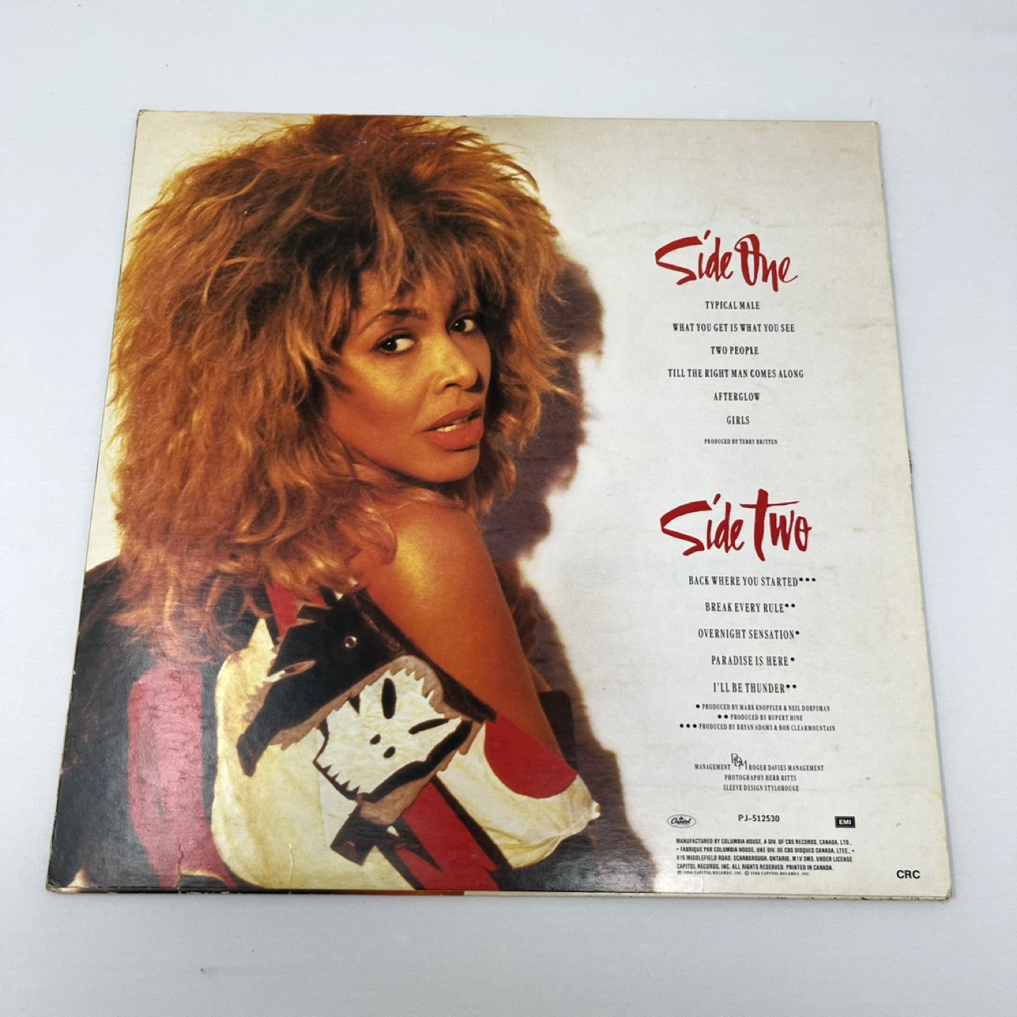 Tina Turner Break Every Rule Vinyl Record - photo 2