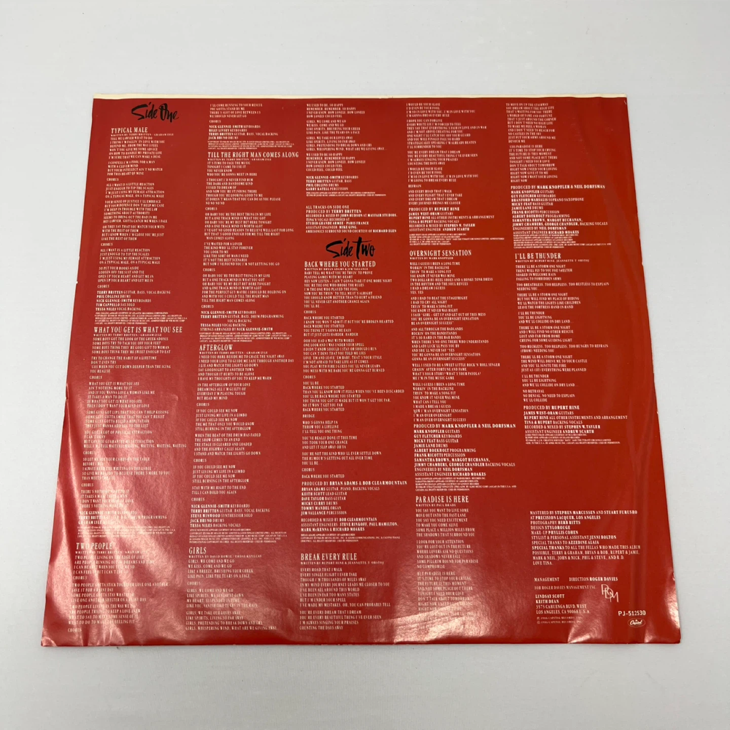 Tina Turner Break Every Rule Vinyl Record - photo 4