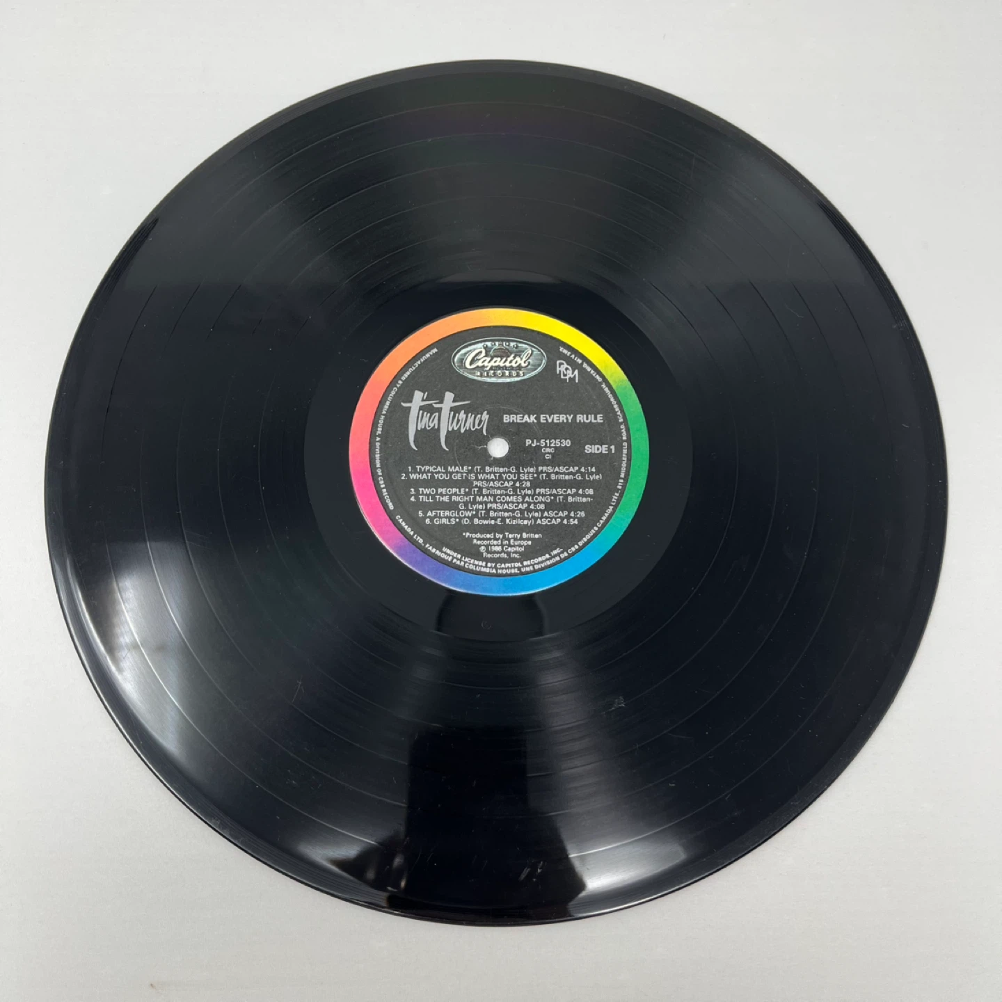 Tina Turner Break Every Rule Vinyl Record - photo 5