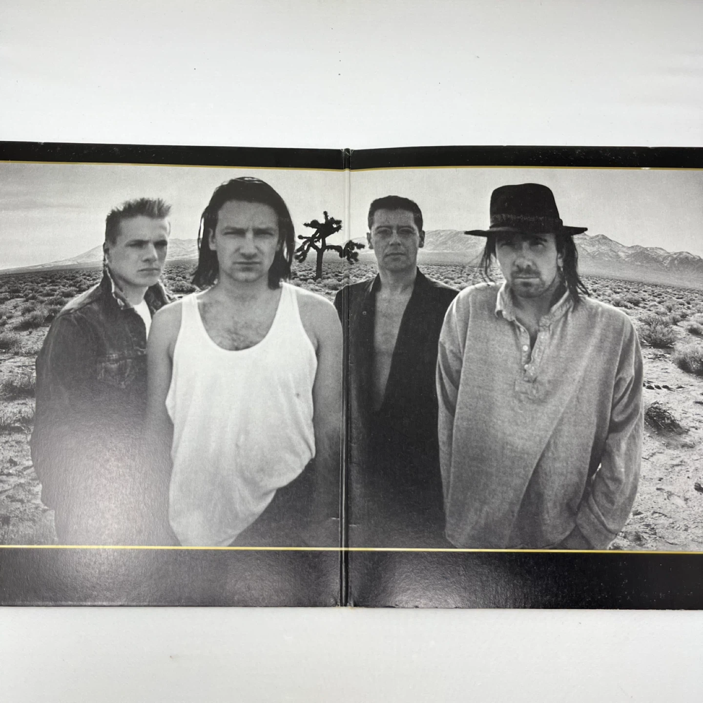 U2 The Joshua Tree Vinyl Record - photo 2