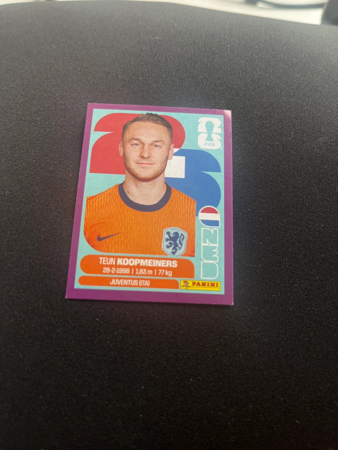 FIFA World Cup sticker