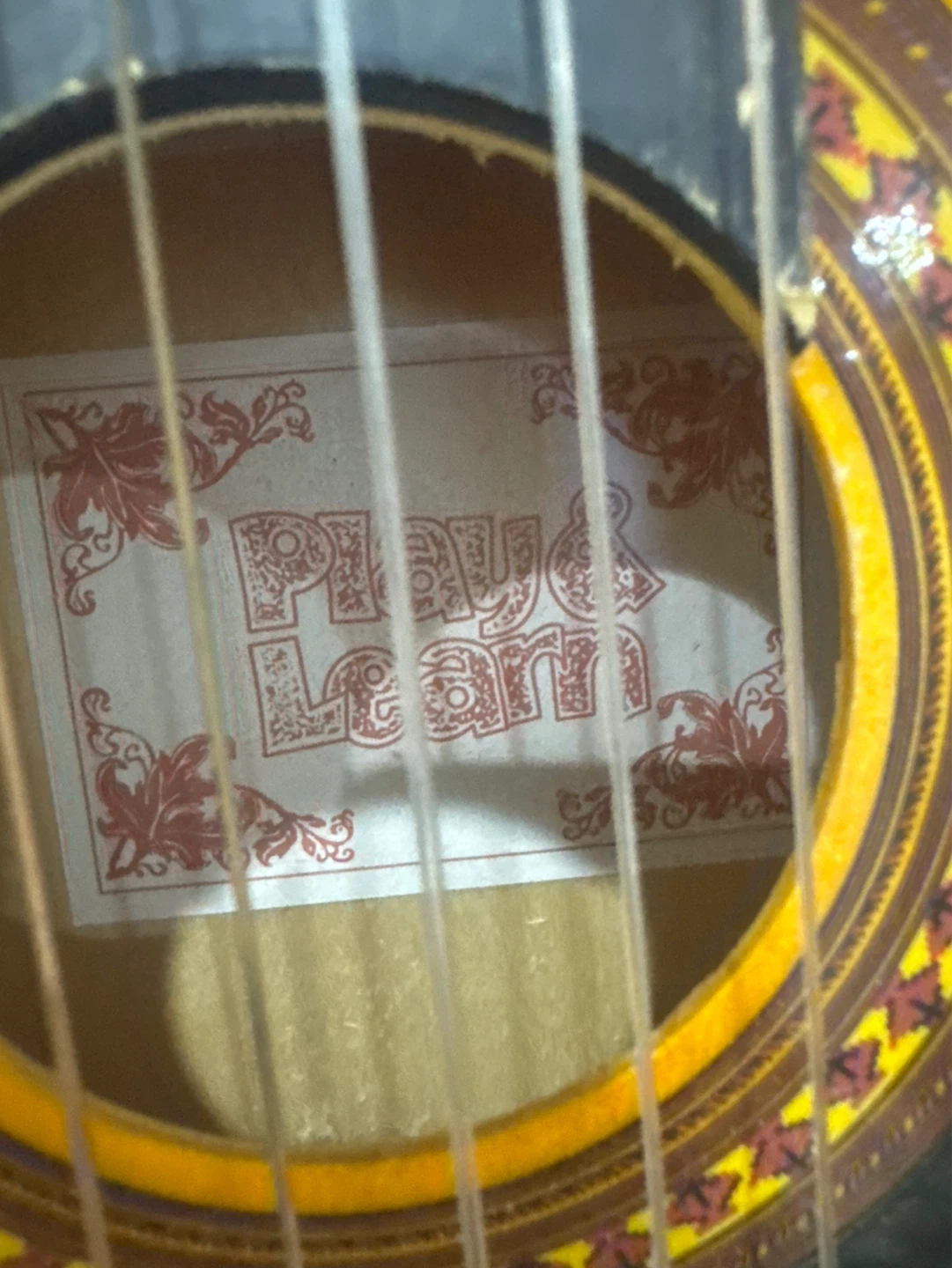 Play & Learn Acoustic Guitar - photo 3