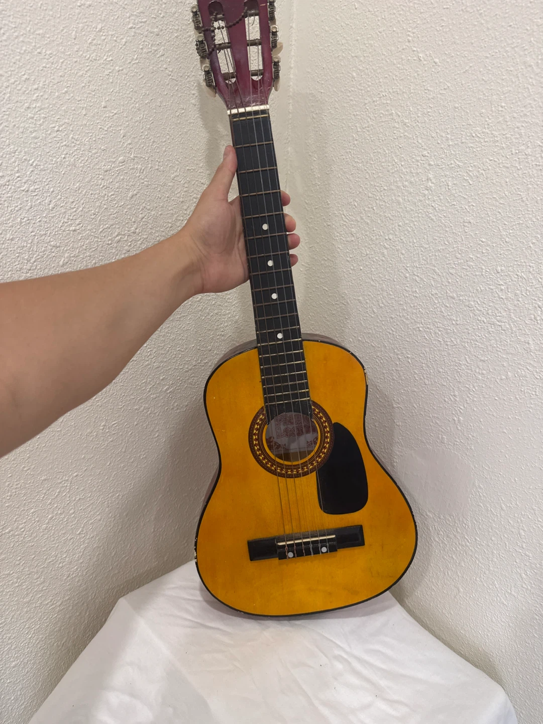 Play & Learn Acoustic Guitar - photo 2