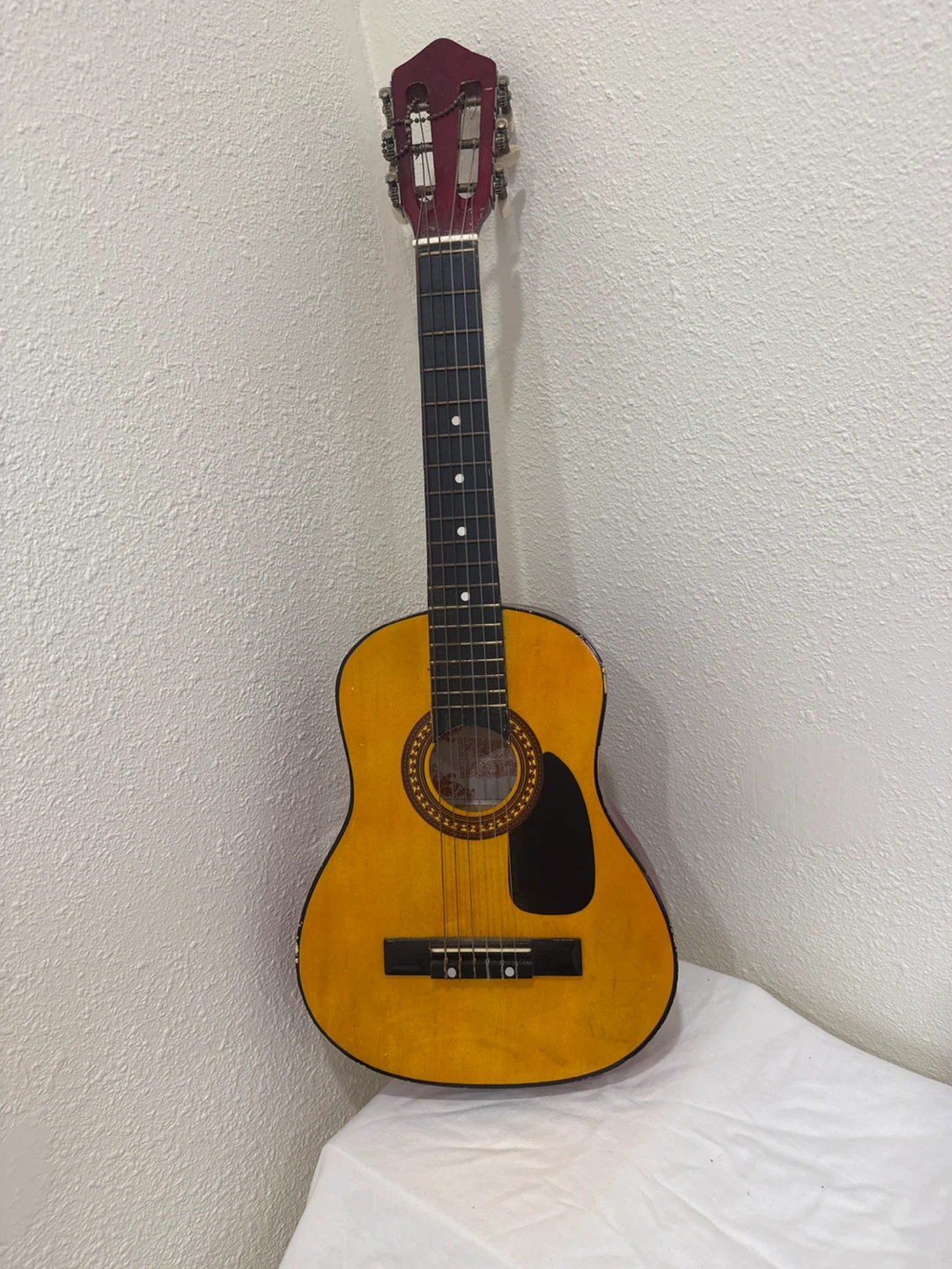 Play & Learn Acoustic Guitar