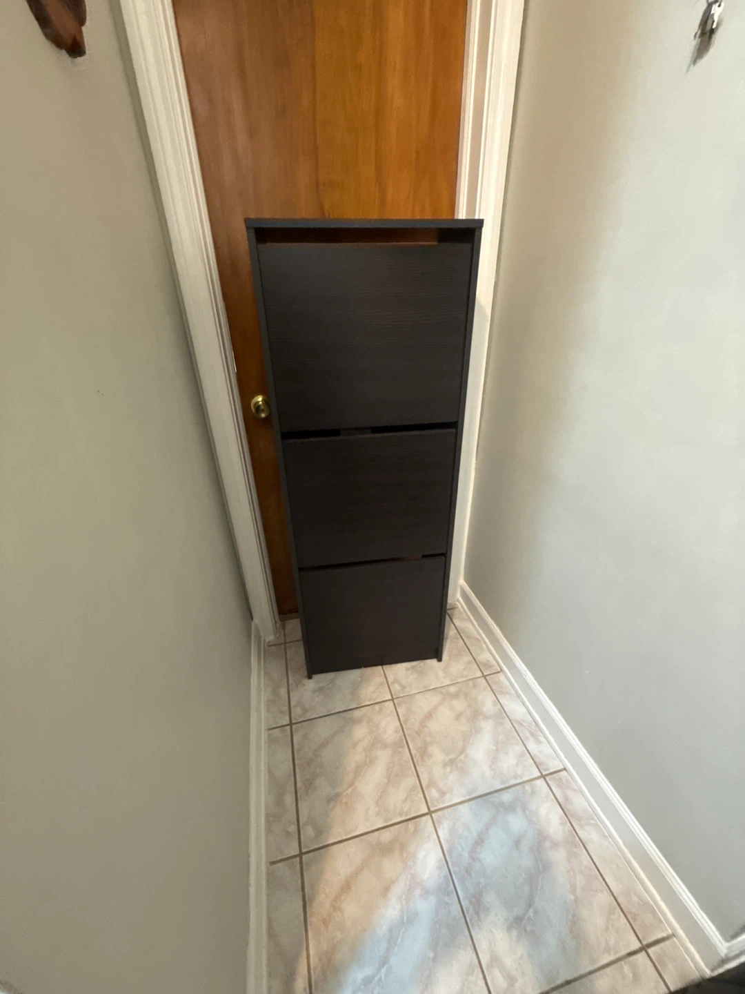 Dark Wood Shoe Cabinet