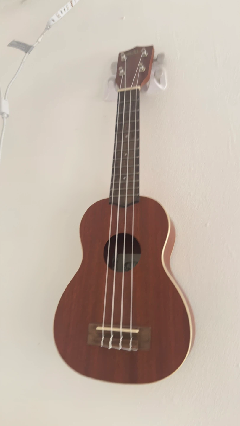 Kala Brand  Soprano Ukulele - photo 4