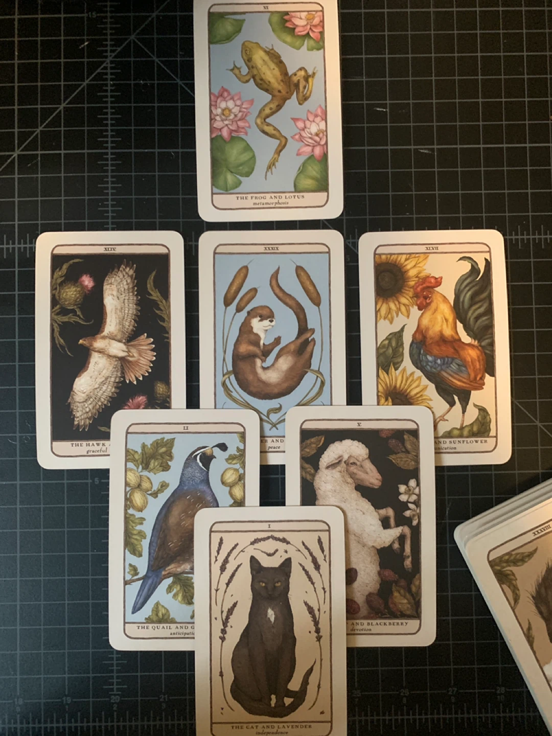 Woodland Wardens Oracle Deck by Jessica Roux - photo 3