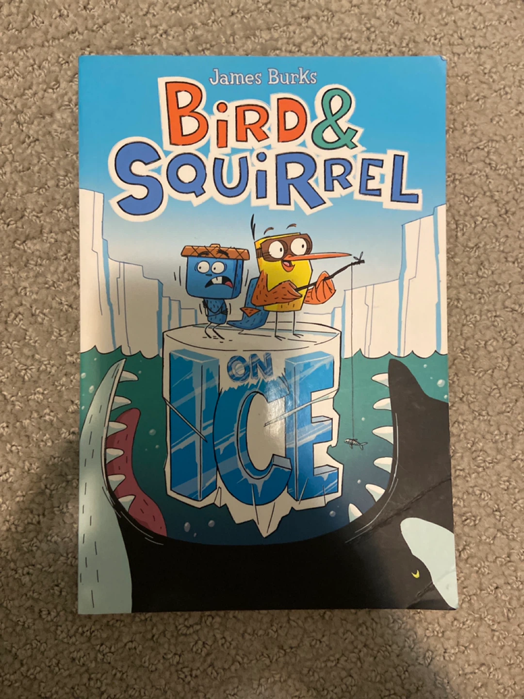 Bird & Squirrel On Ice Book by James Burks
