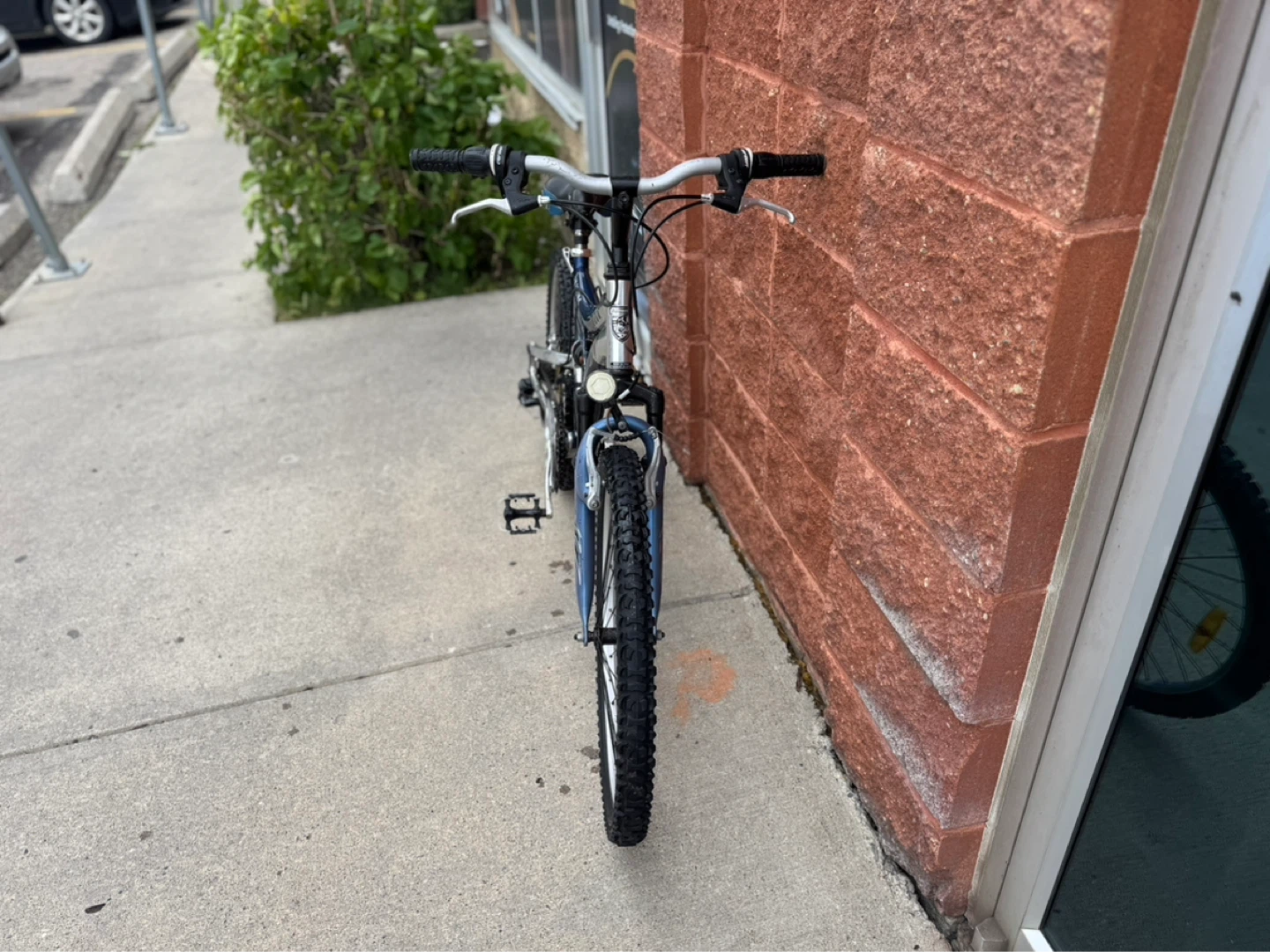 Blue Mountain Bike - photo 5