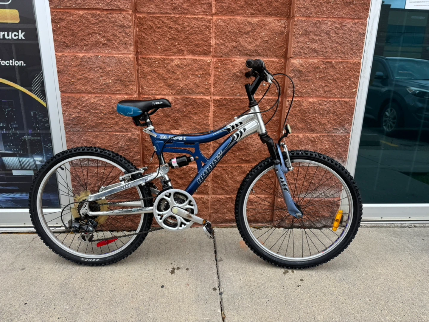 Blue Mountain Bike