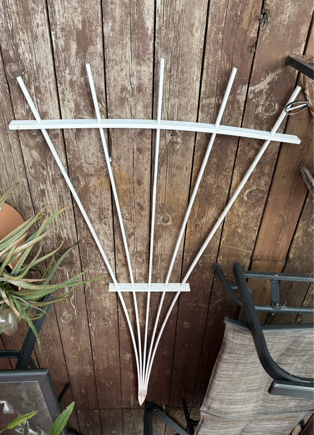 White large Fan Shaped Plant Trellis