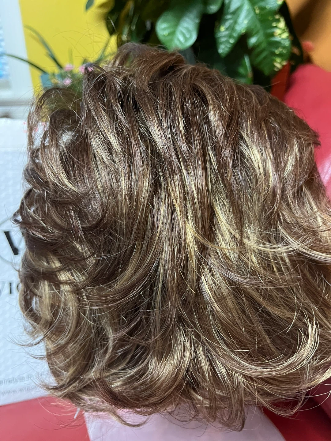 WIGGY Short Curly Wig Brown Blonde Highlights - photo 4