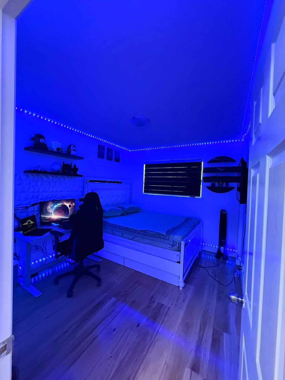 Basement for rent - photo 3