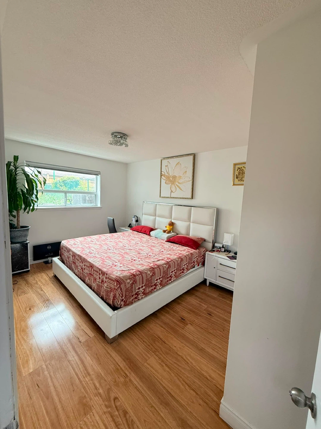 Basement for rent