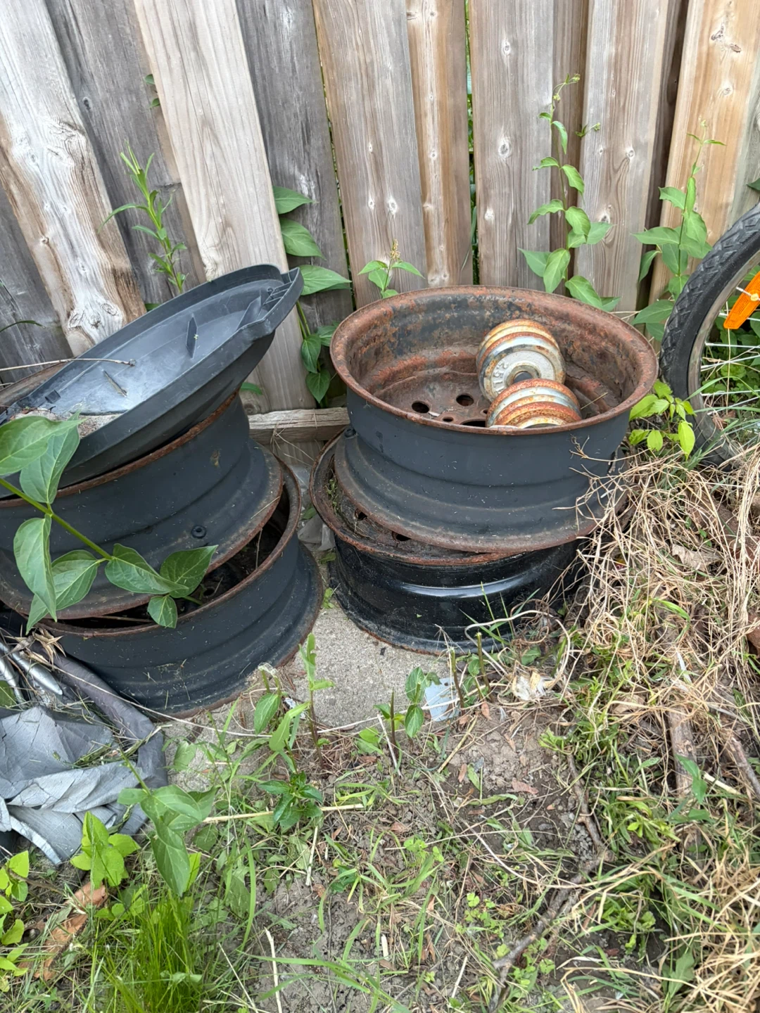 Set of 4 Steel Rims