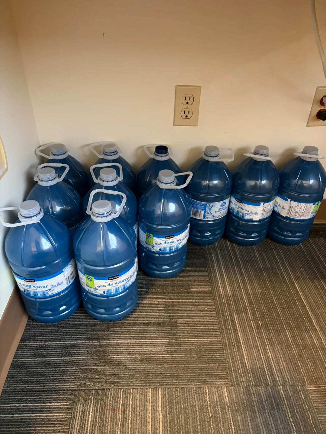 Kirkland Signature Spring Water Bottles