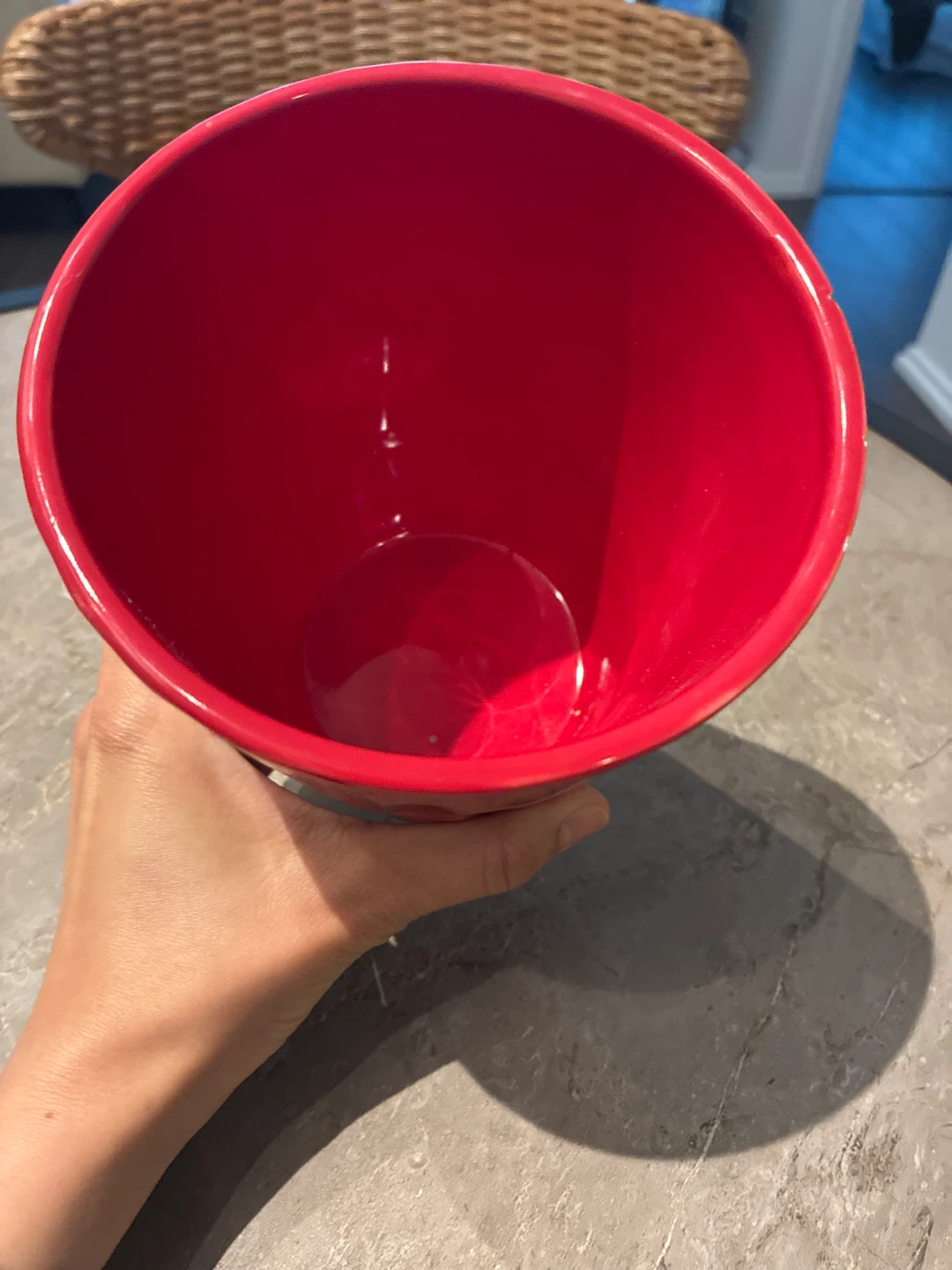 Plant Pot - photo 3