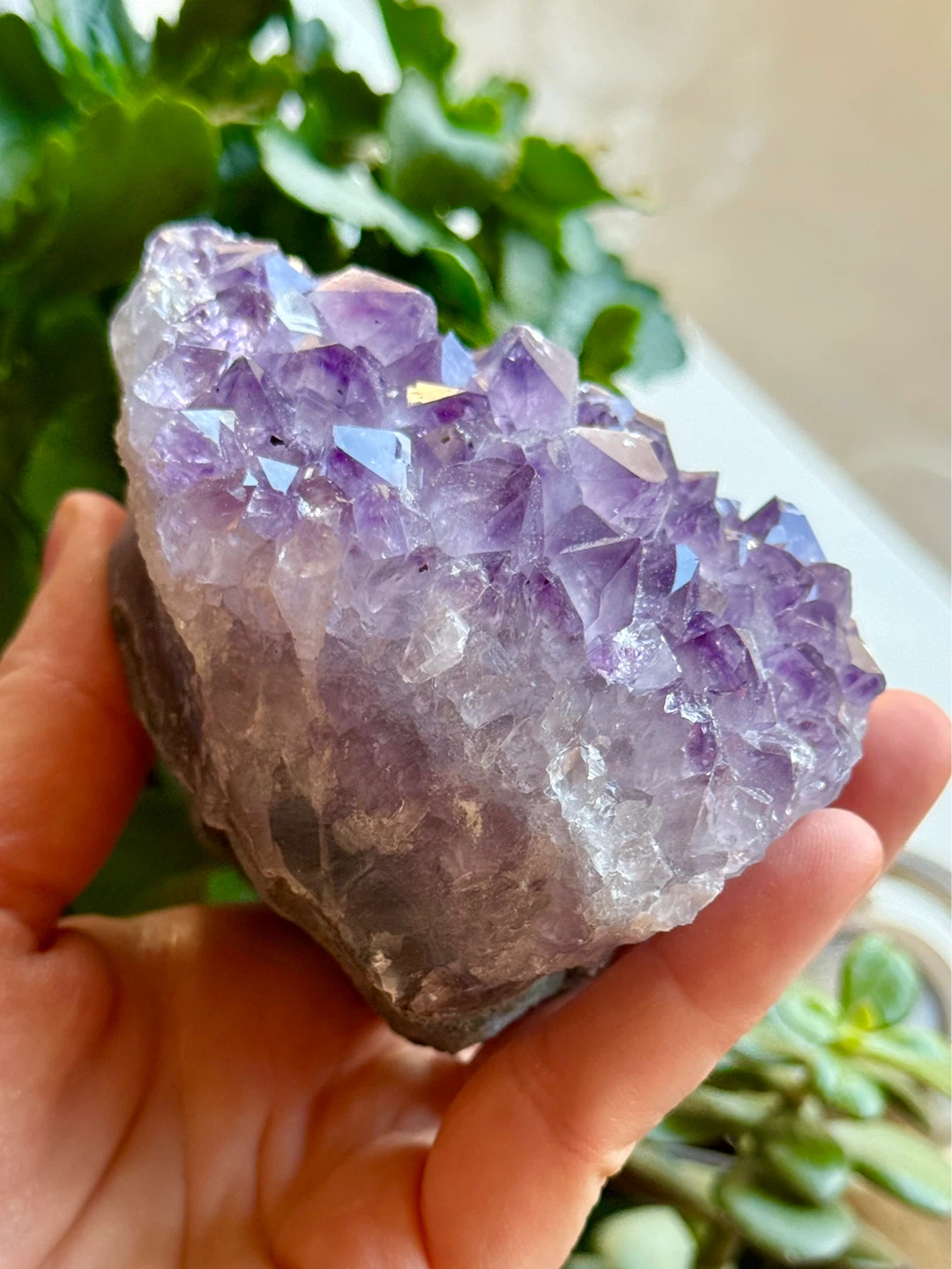 Brazilian Amethyst Crystal Cluster - photo 4