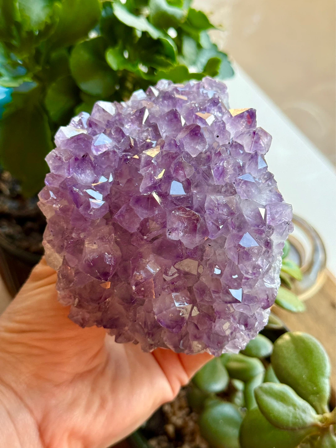 Brazilian Amethyst Crystal Cluster