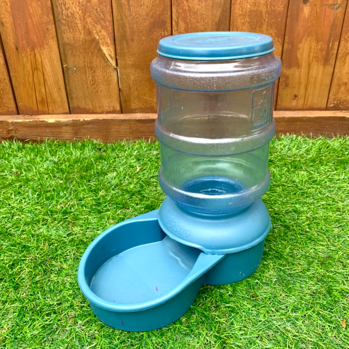 Pet Feeder Automatic Pet Feeder Food Dispenser 5 Pound Hopper