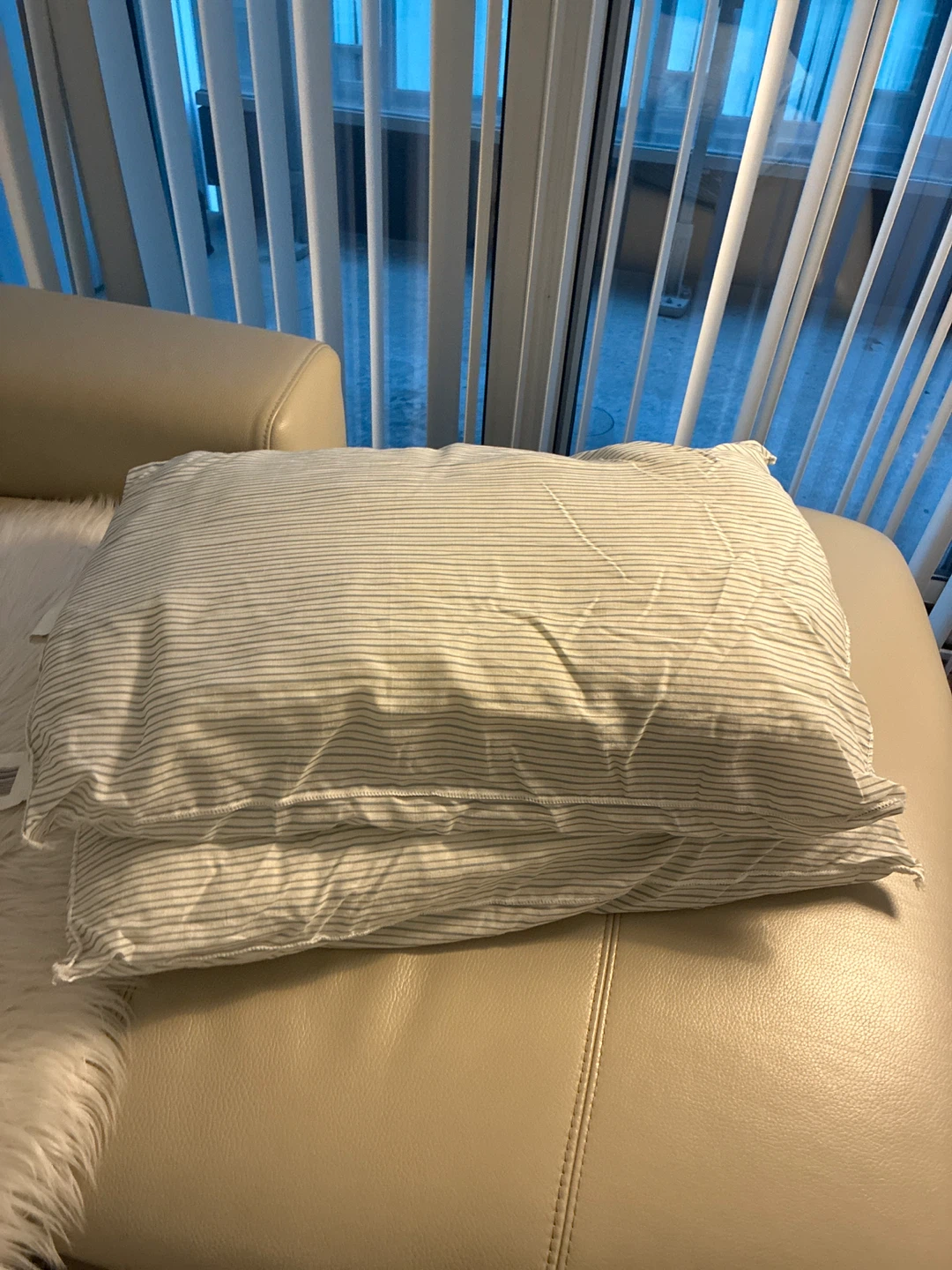 Set of 2 Pillows