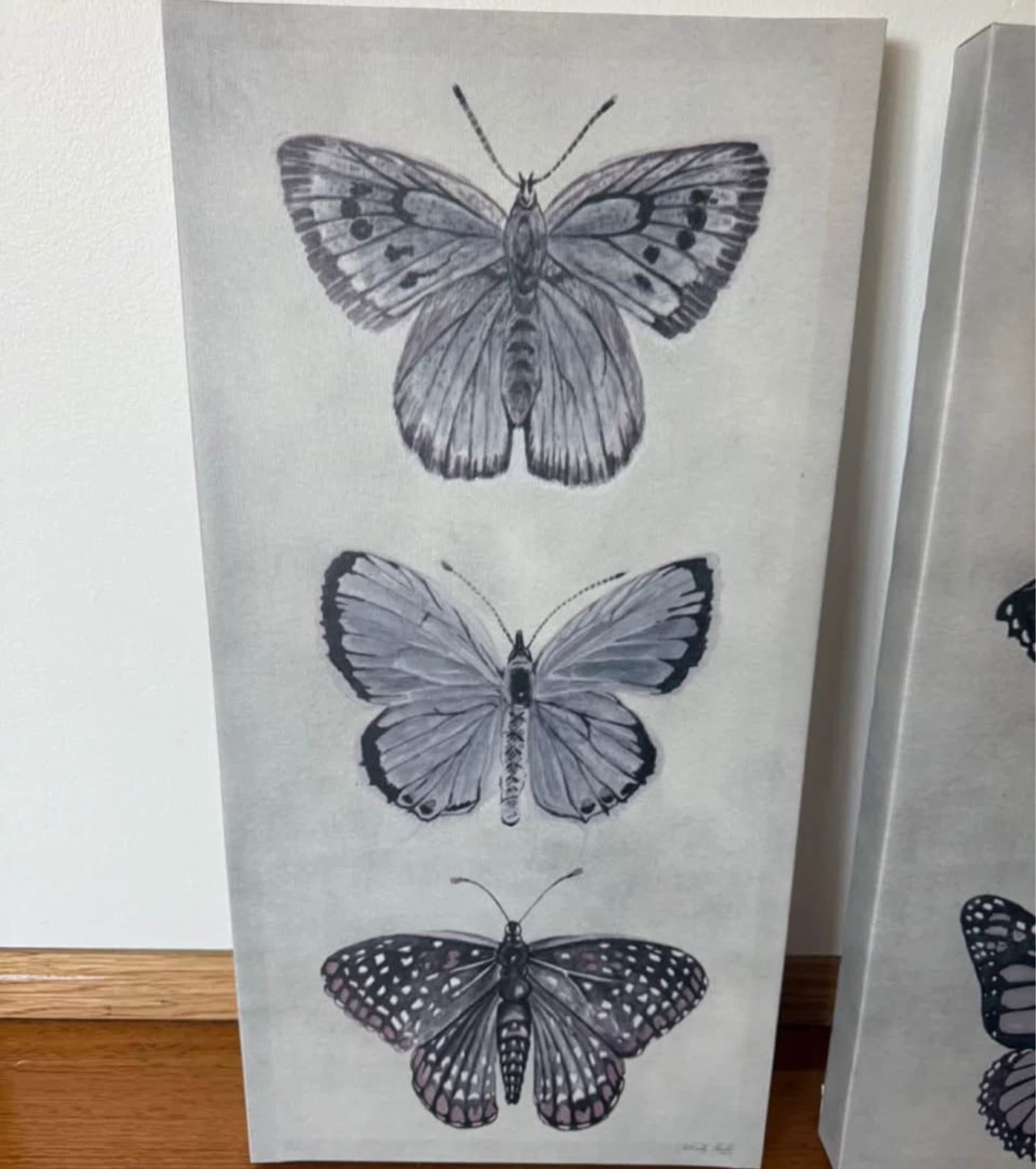Butterfly Canvas Wall Art Set of 2 - Neutral Home Decor - photo 2