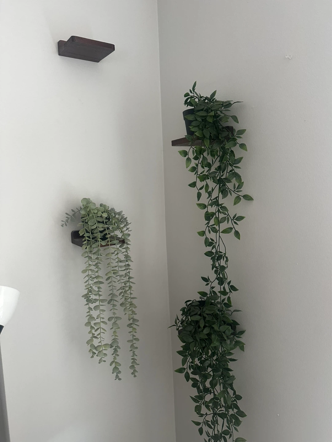 Set of 4 dark brown wall Shelves