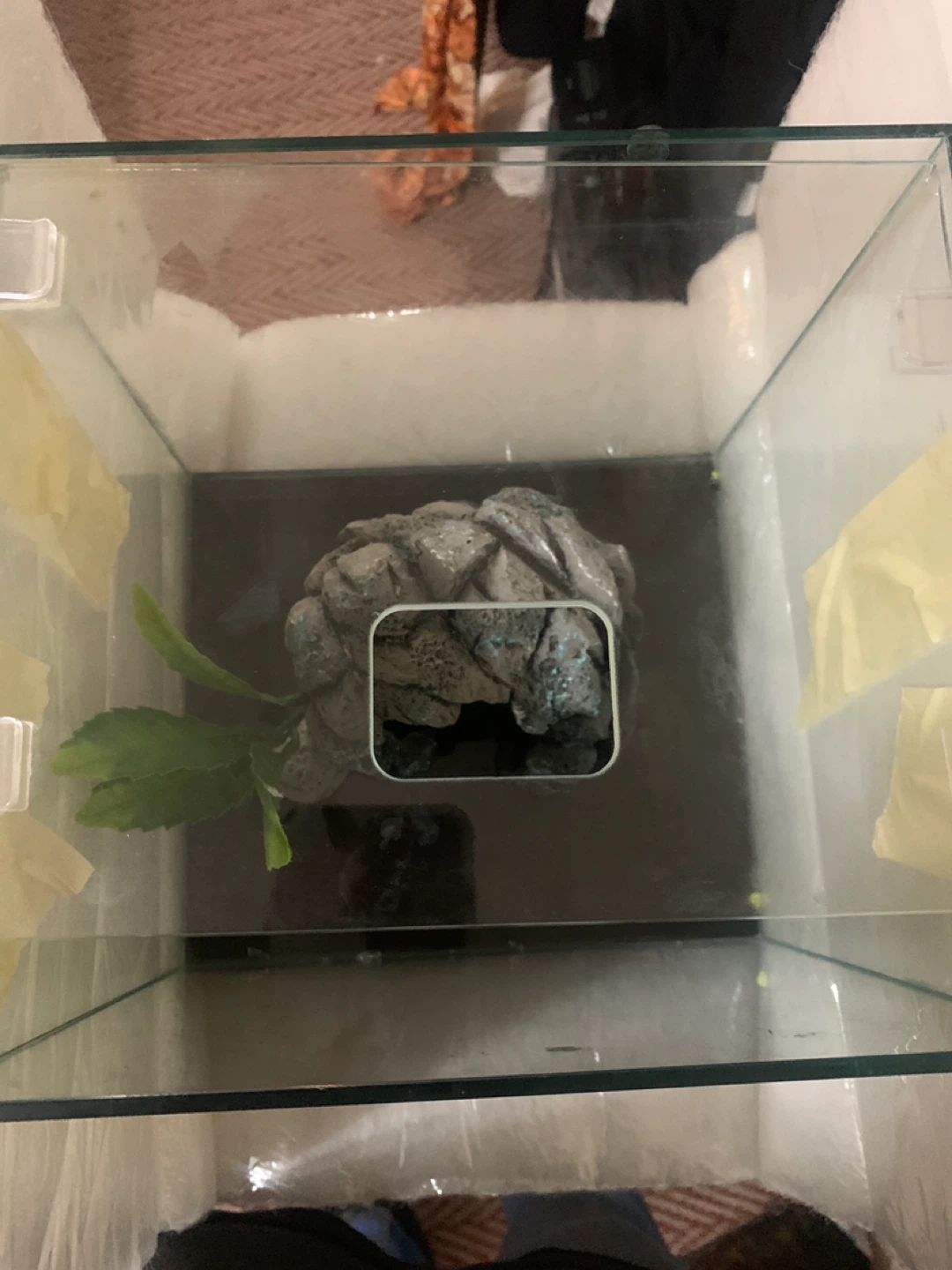 Glass Terrarium with Rock Cave Decoration - photo 2