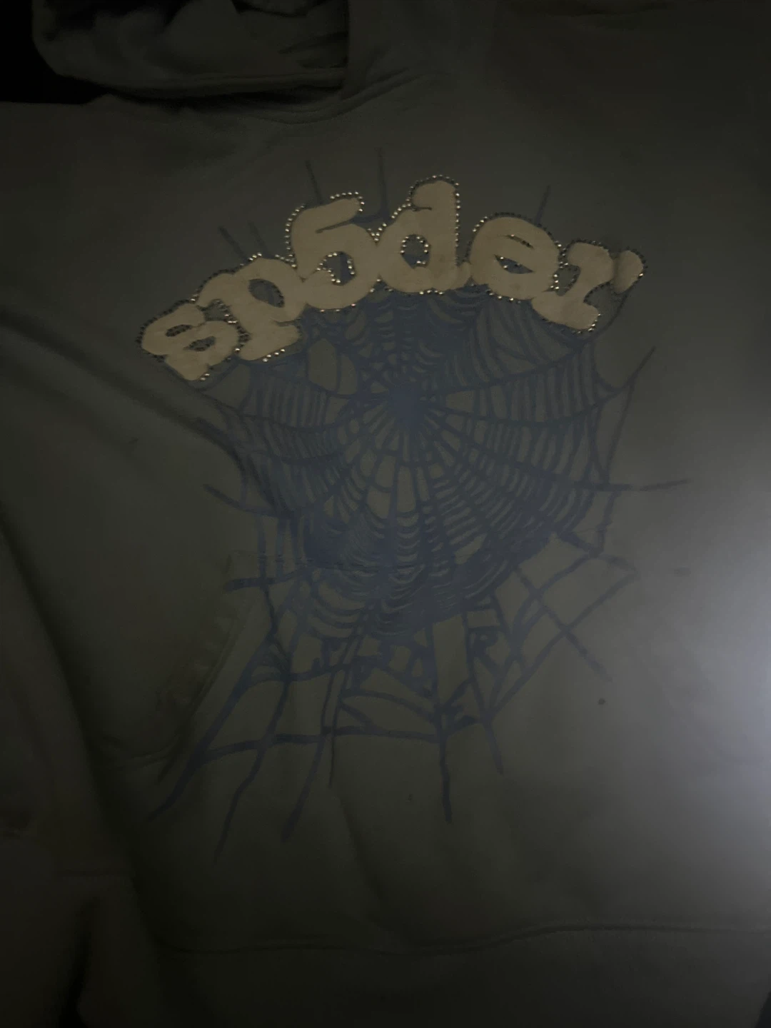 Spider hoodie