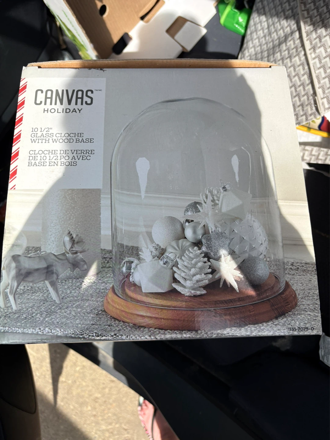 Canvas Holiday 10 1/2" Glass Cloche with Wood Base