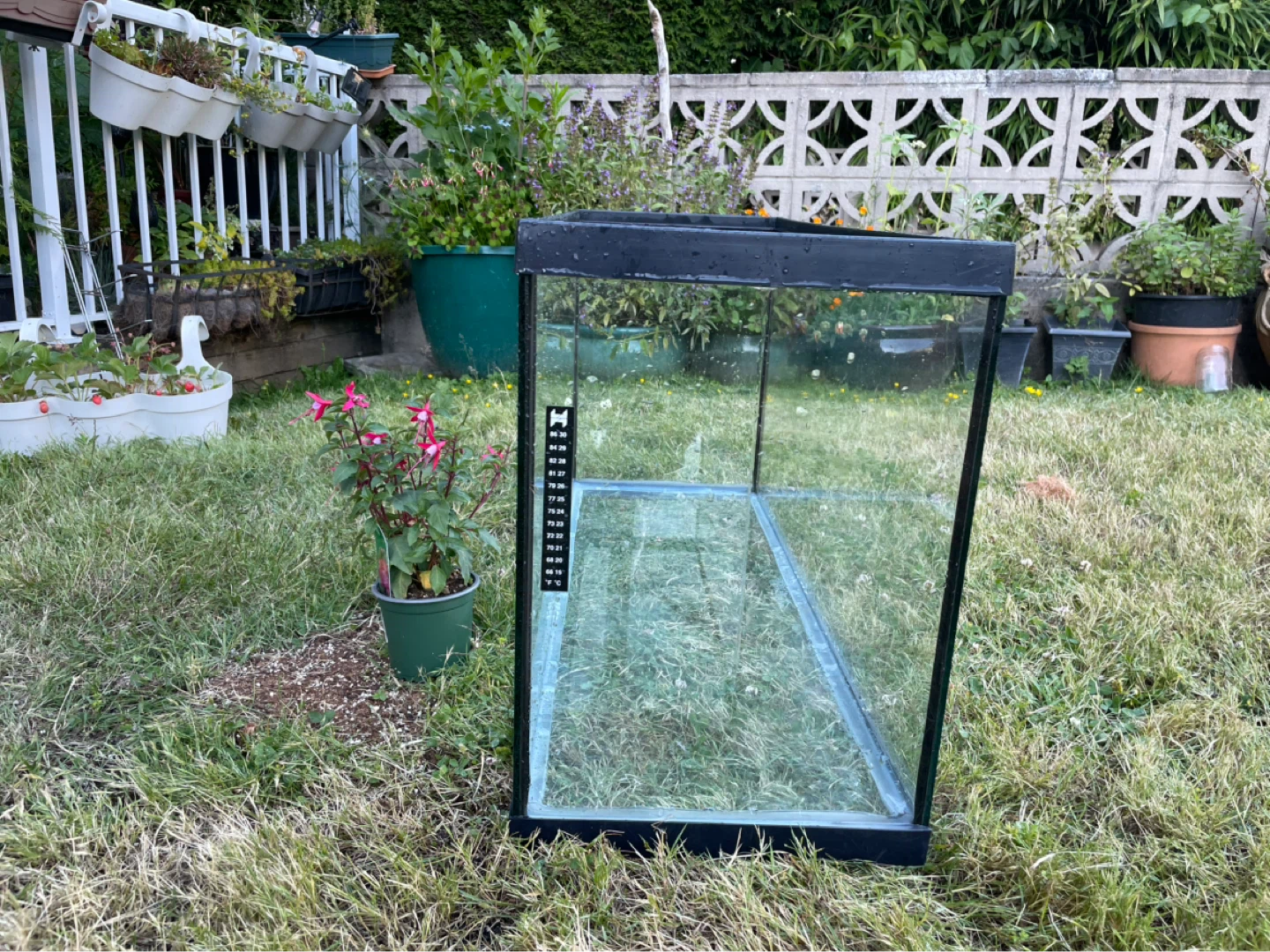 40 gal Large glass aquarium with lid