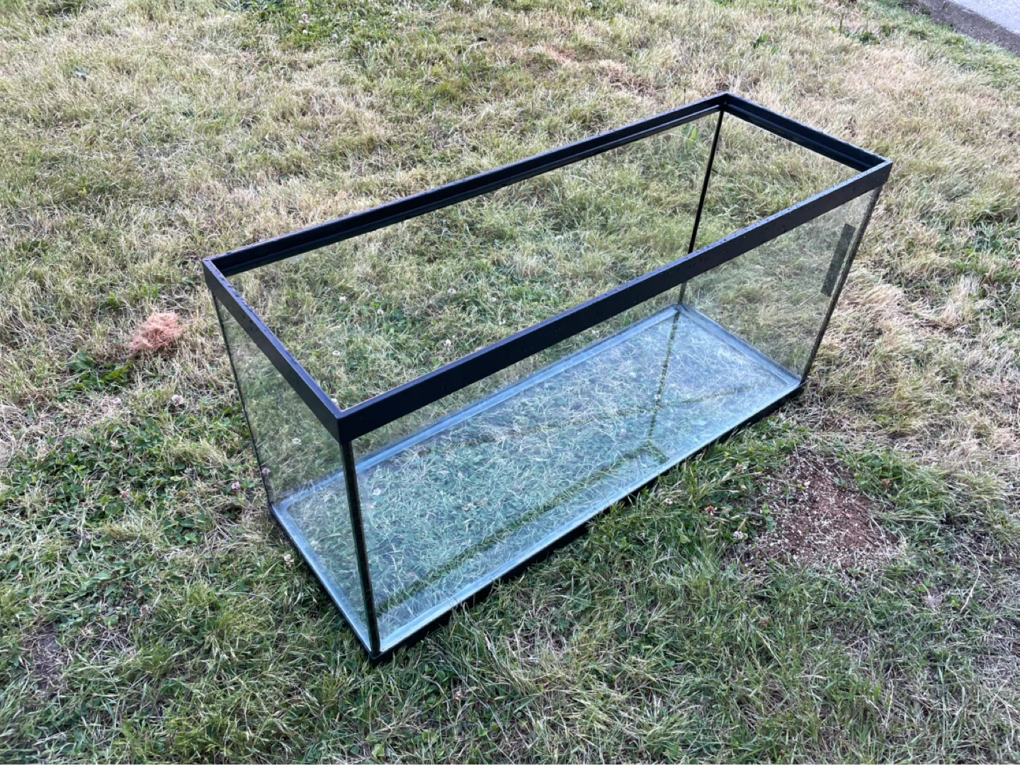 40 gal Large glass aquarium with lid - photo 2