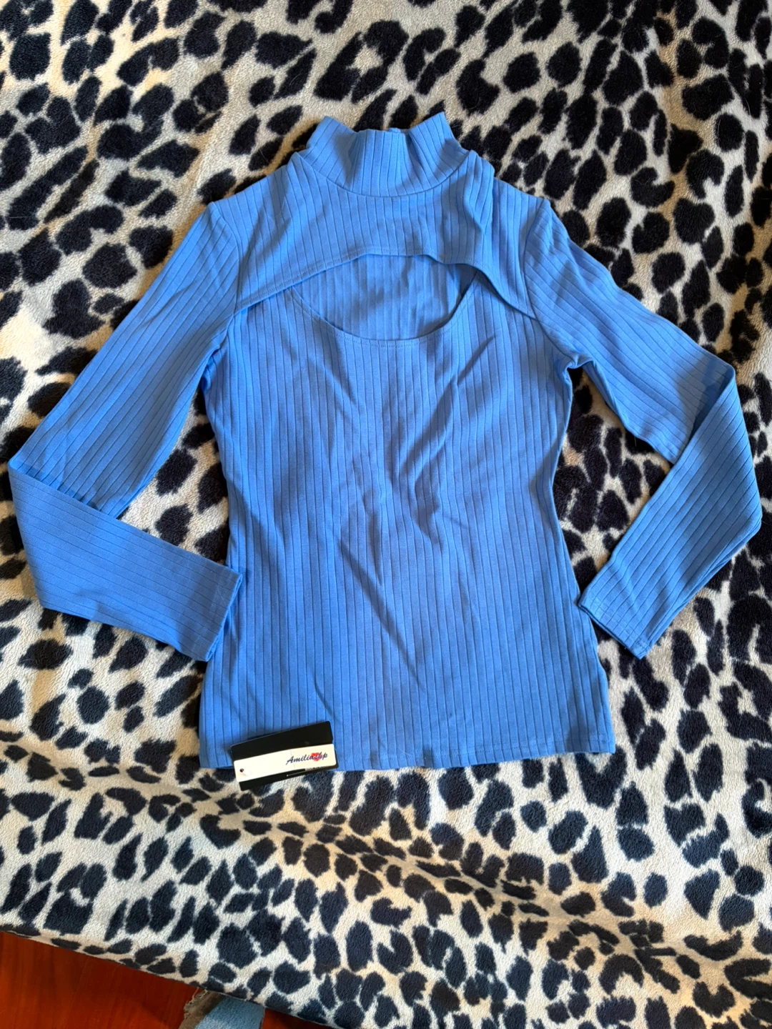 Blue Cut-Out Ribbed Mock Neck Top