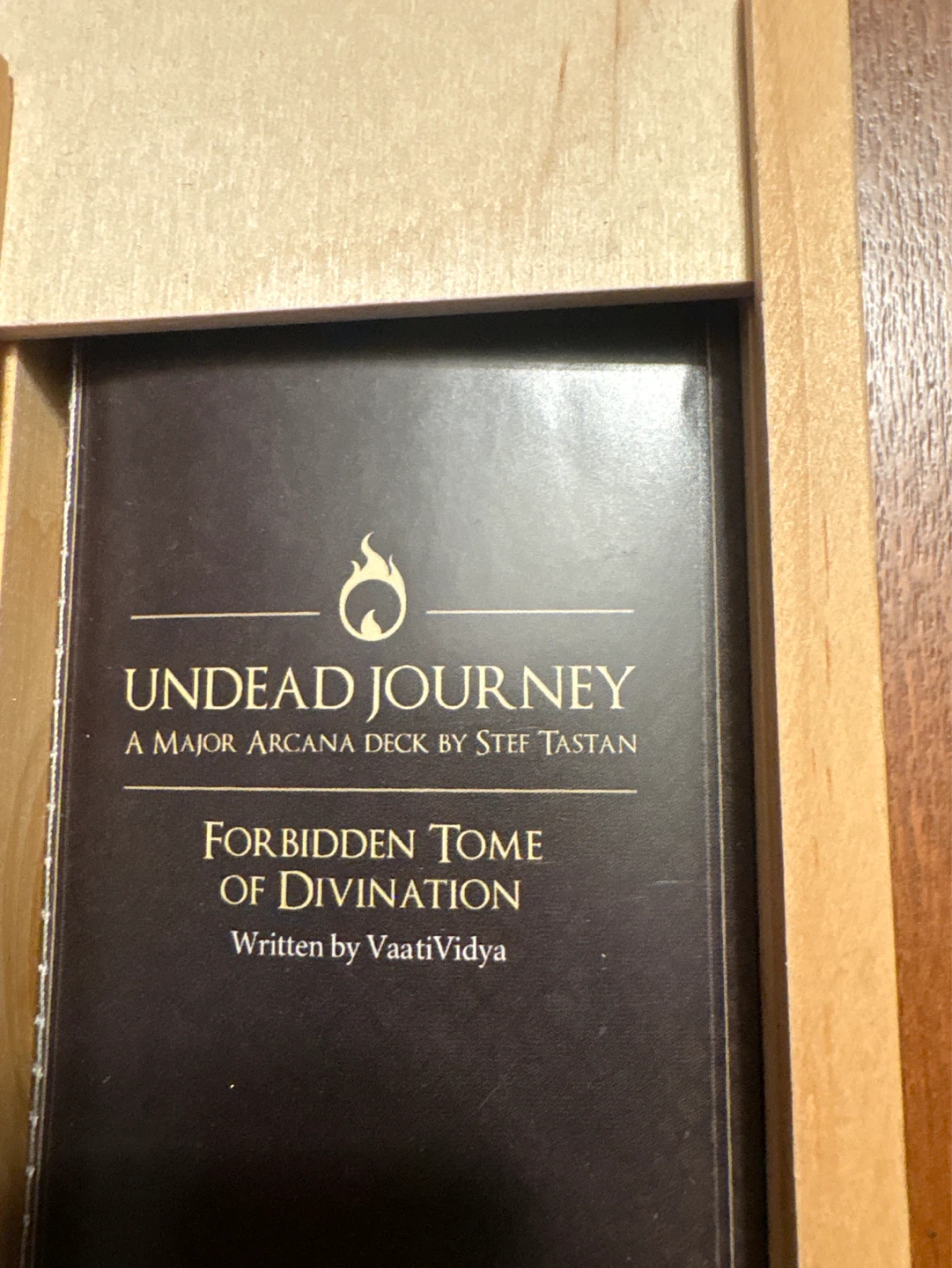 Undead Journey Major Arcana Deck by Stef Tastan - photo 2