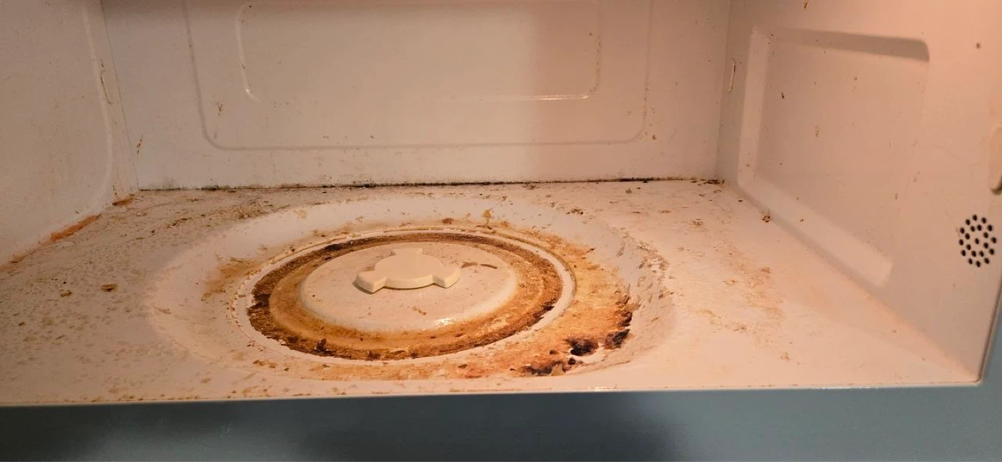 REGULAR CLEANING SERVICES – EDMONTON & AREA - photo 2