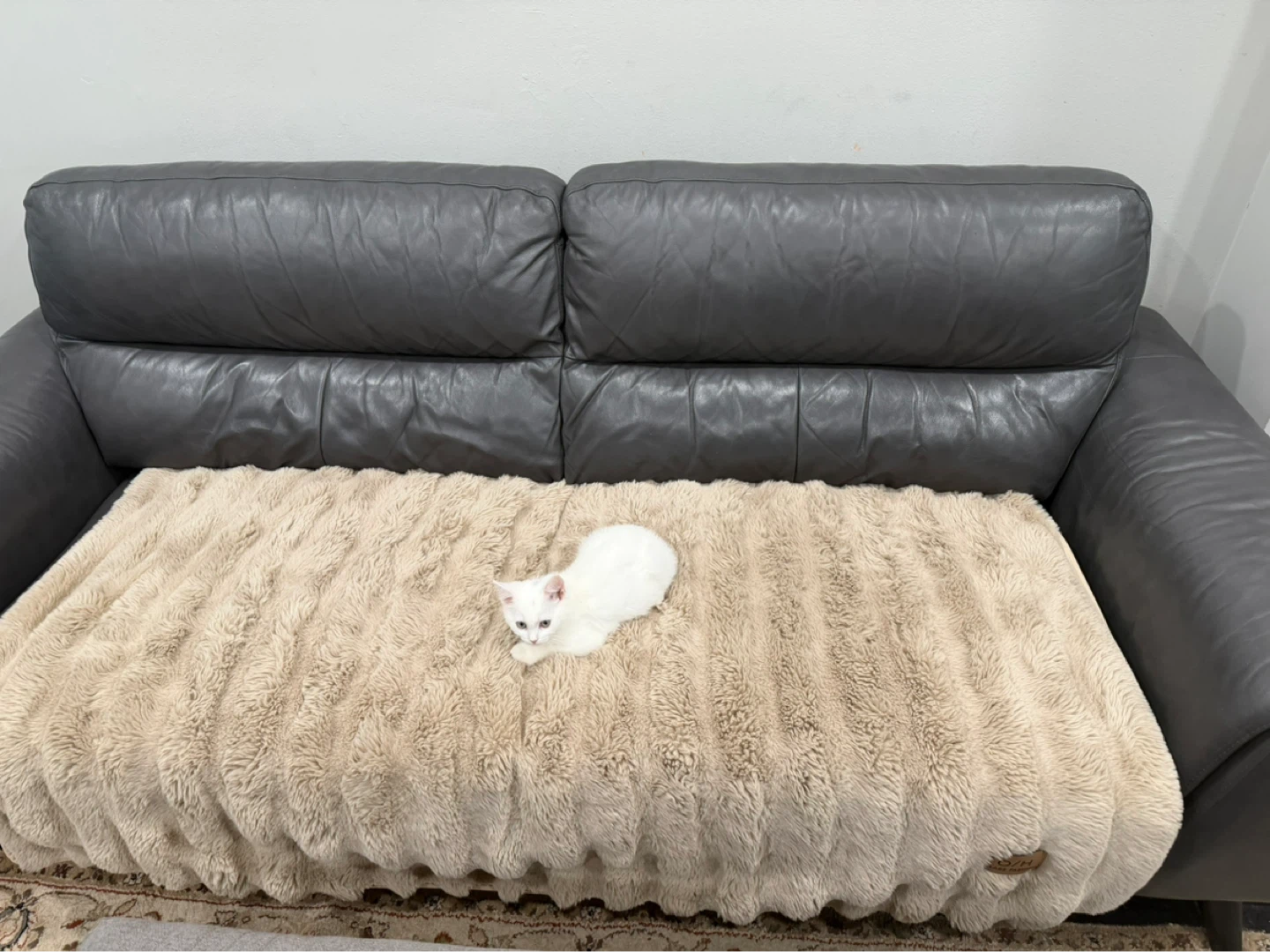 Gray Leather Sofa