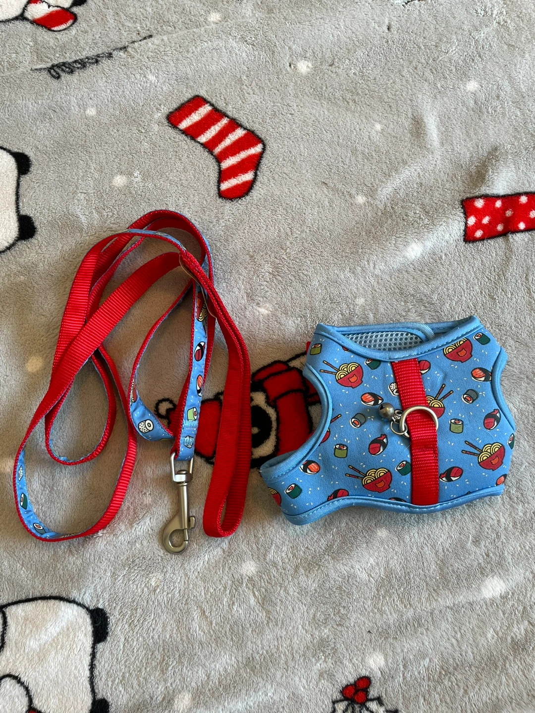 New Kitten Harness & Leash